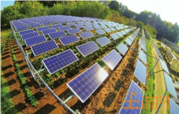 高效晶硅太陽(yáng)能電池低成本制造關(guān)鍵技術(shù)及裝備